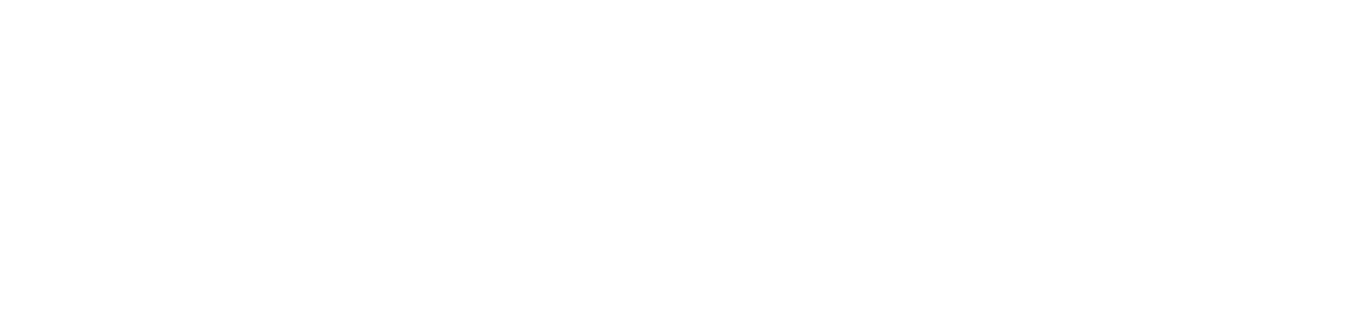 logo4 (1)