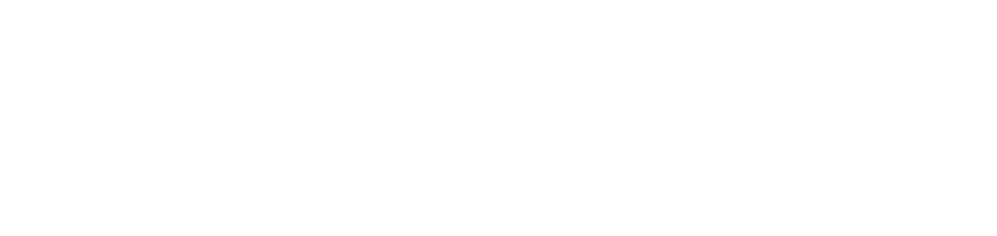 logo4 (3)